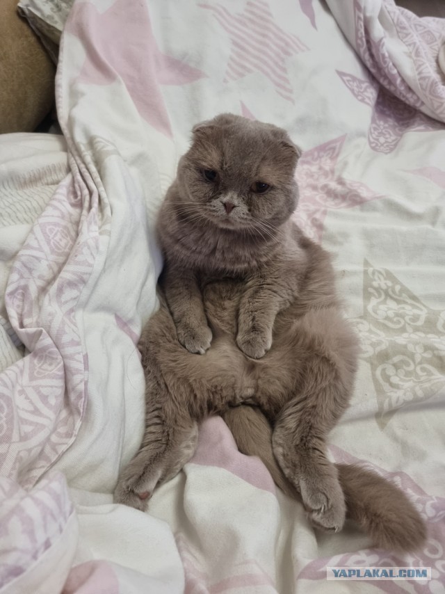 А что, уже вторник?