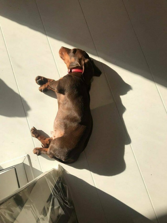 Это нужно развидеть: 14 забавных фото, которые обманут ваше зрение