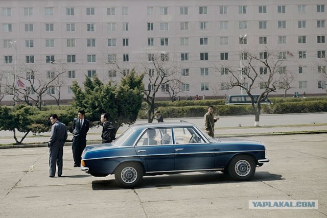 Северная Корея "в цвете"