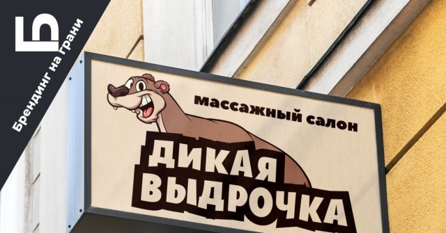 Заплыв с любопытной выдрой