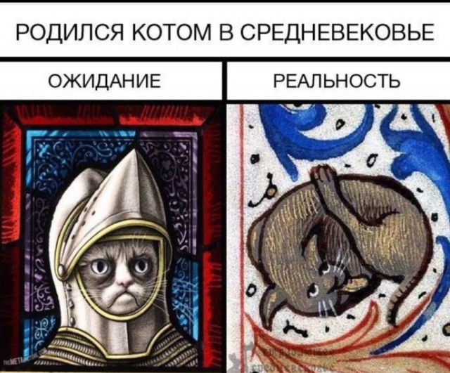 Насколько опасными были древние хищники: Что не так на иллюстрациях и кадрах