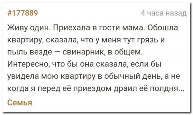 Забавные комментарии из социальных сетей (31.10.22)