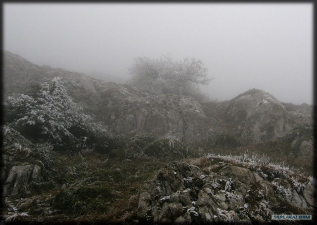 Крым. Южный Демерджи. Вершина.