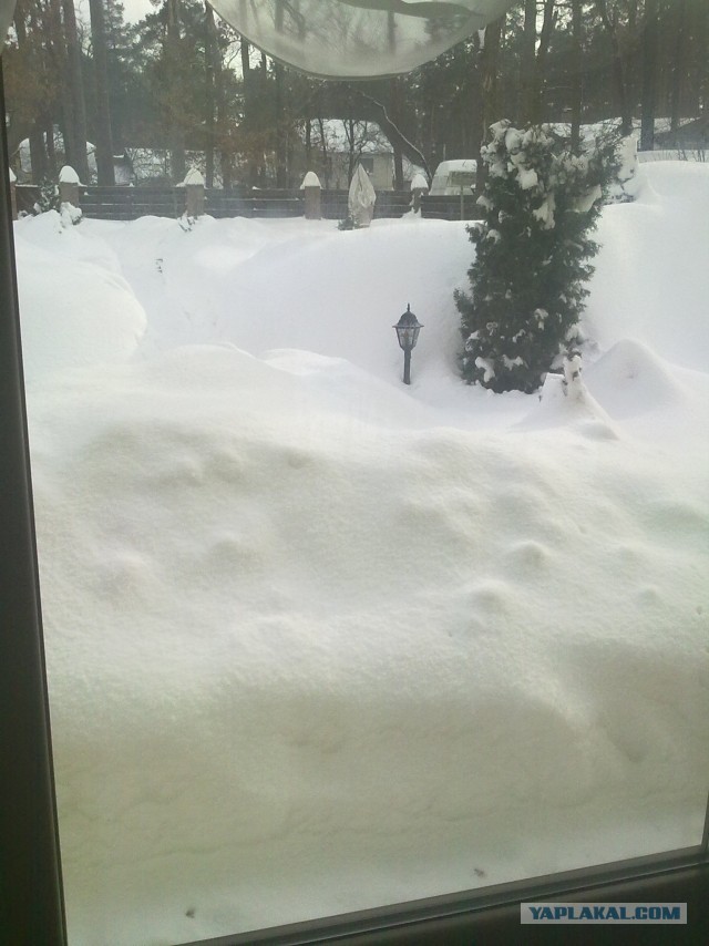 23 марта. Киев. Весна.