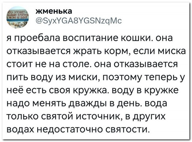 Забавные комментарии из социальных сетей 01.05.23