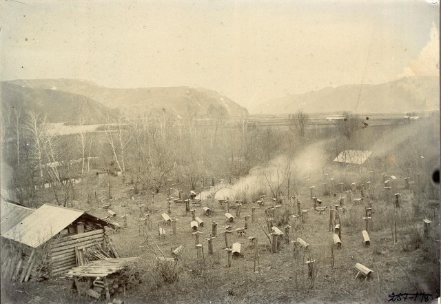 Сибирское казачье войско 1909г. Лица. Виды
