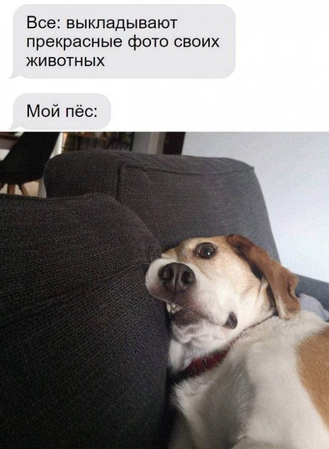 То, что не перестанет растягивать лицо в улыбке во веки веков. Аминь.