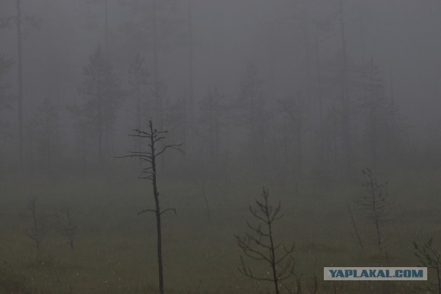 Путешествие. Терский берег и Карелия