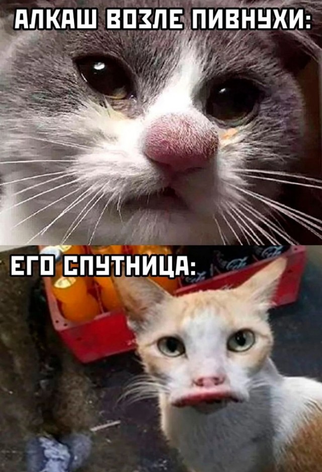 Всего понемногу. От 14.08.23