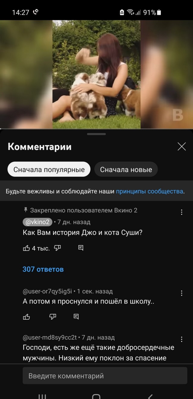 Невероятная история кота по имени Суши
