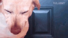 Не захотел нигга стишок рассказывать