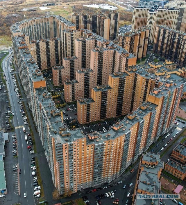 Кудрово. Февраль 2023