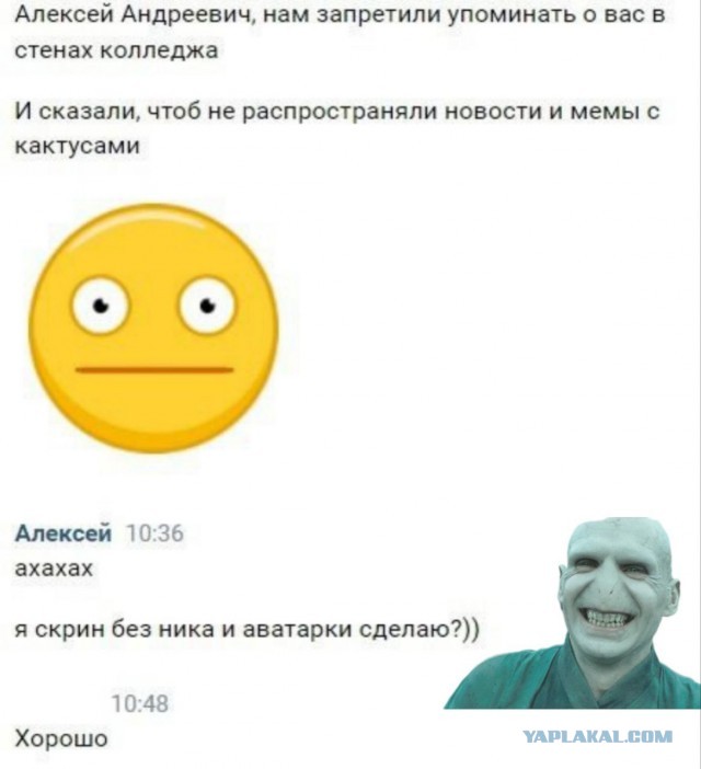 Преподаватель колледжа в Волгограде уволился из-за фоток своего кактуса в рабочем чате