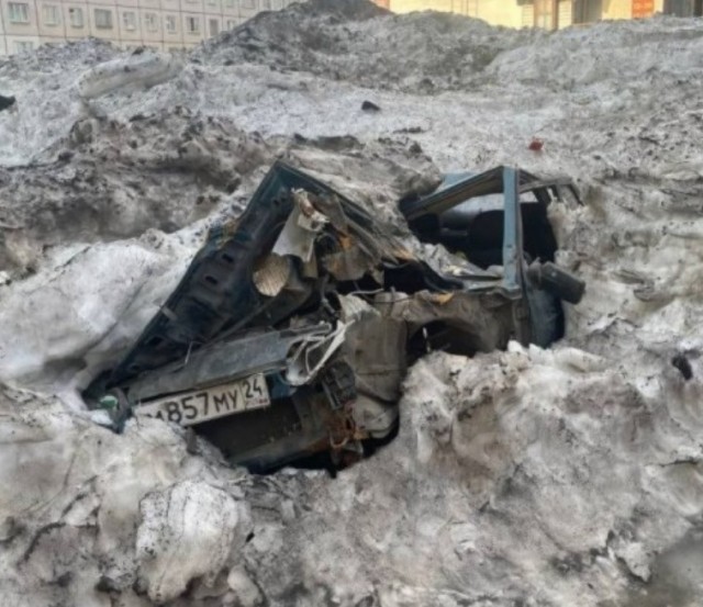 Весна. Вылезают подснежники