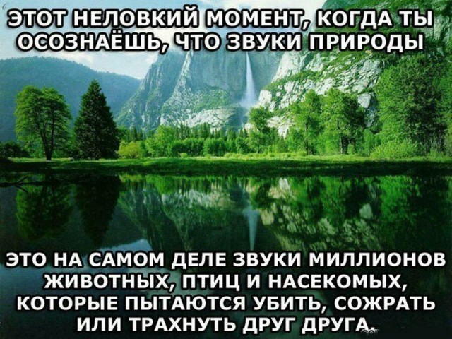 "Детки, сегодня учимся плавать. Следуйте за мной. Я вас провожу и буду охранять"