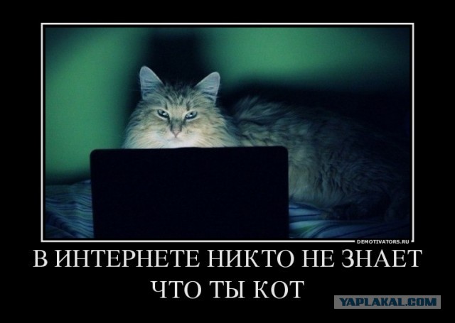 Поработал,можно и поесть)))