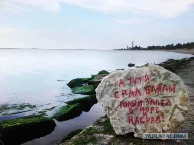 Почему в самолет всегда садятся с левой стороны?