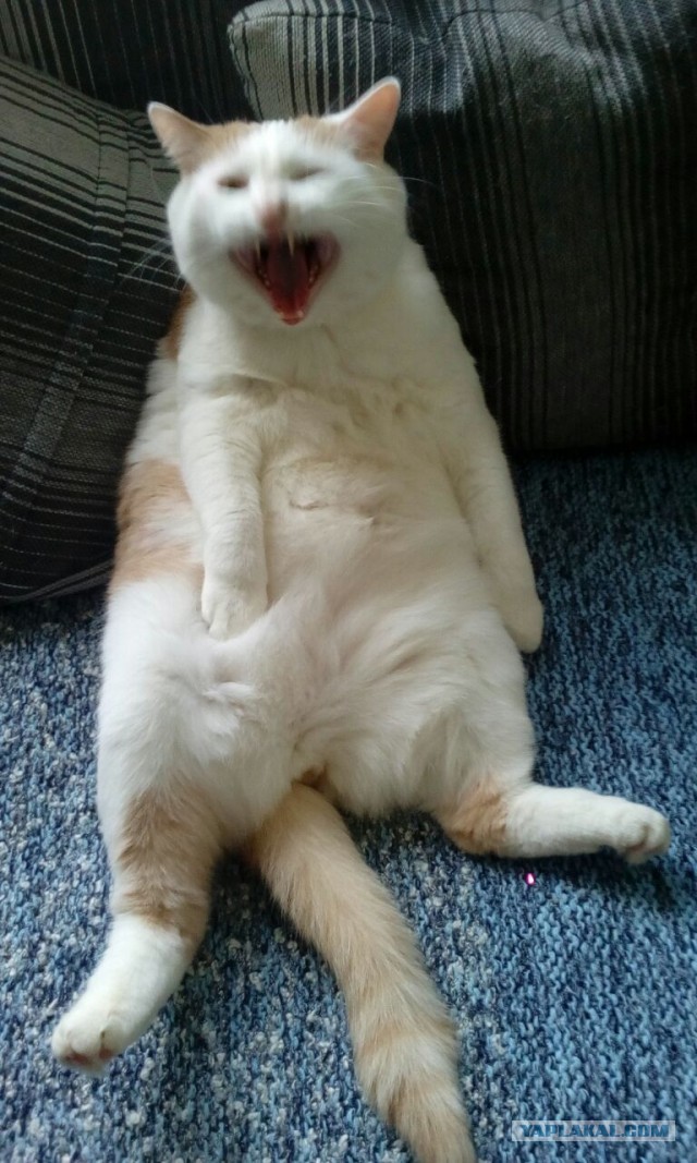 Ура!