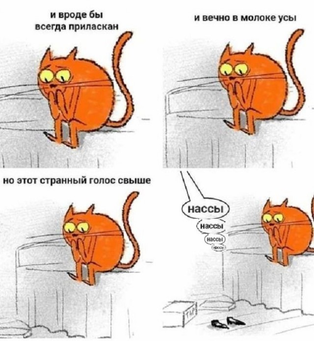 Веселые картинки к маленькой пятнице (28.08)
