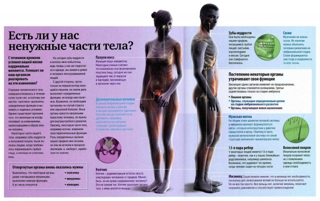 Что такое Мюнцинг?