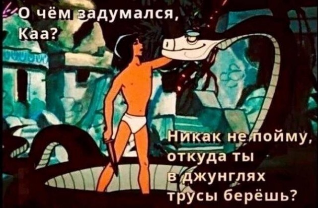 Веселые картинки к понедельнику (16.12)