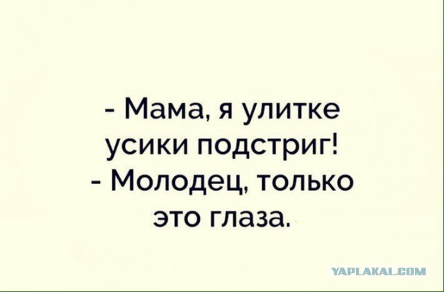 Есть у меня друг Валера, он улитка