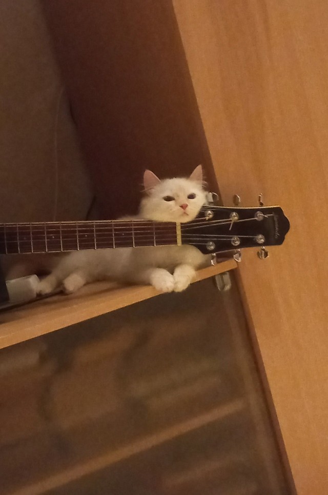 Ты пой, а я играть буду