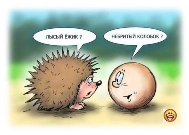 Прикольные и просто красивые картинки 11.04.2025
