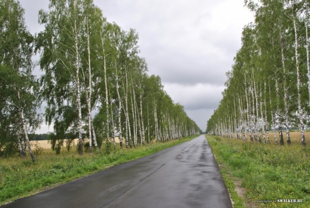 Как умирают деревни