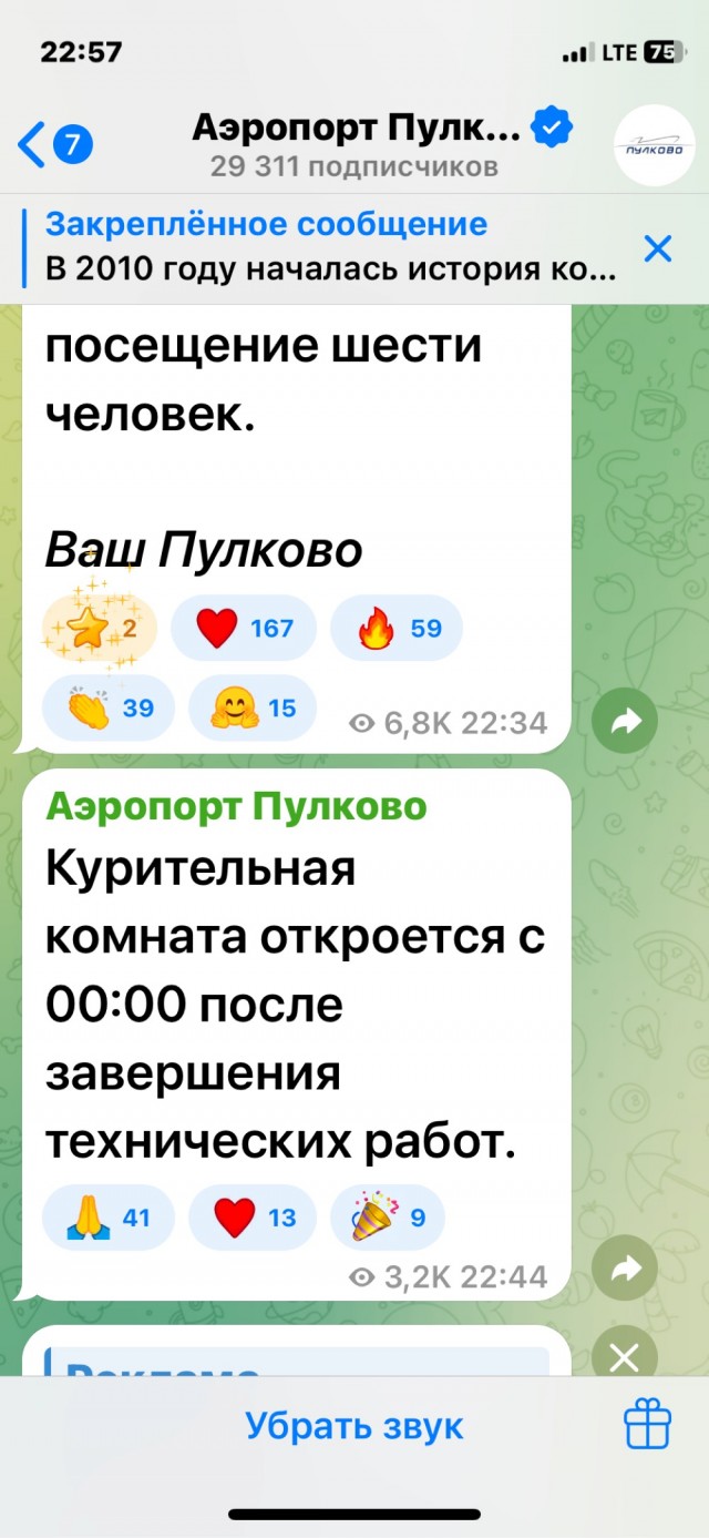 Застрявшим в Пулкове пассажирам разрешили выходить на улицу покурить и даже съездить домой