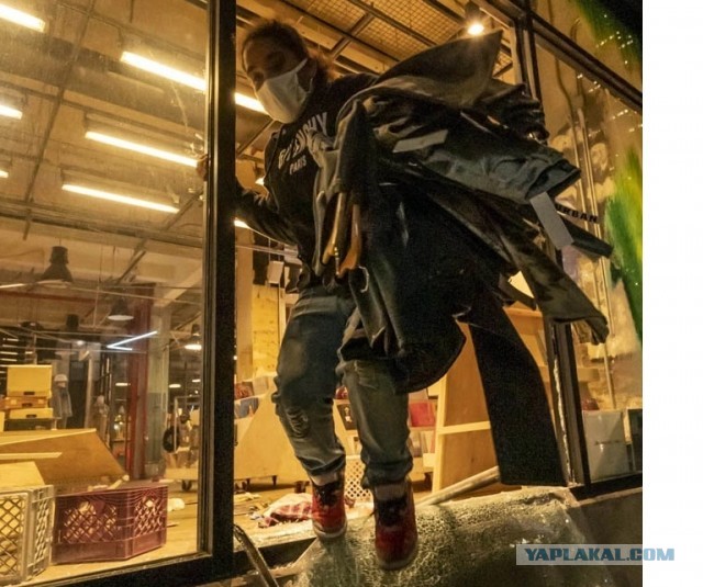 Пятничные 100м2 дичи