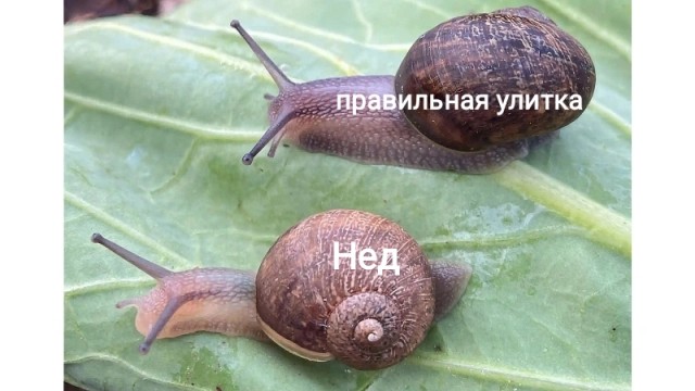 Проблема, так проблема