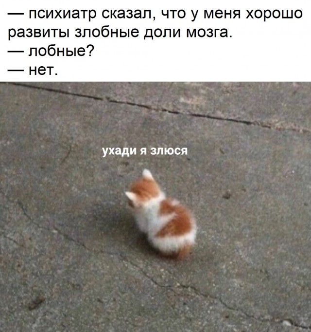 Так себе картинки 06.09.25