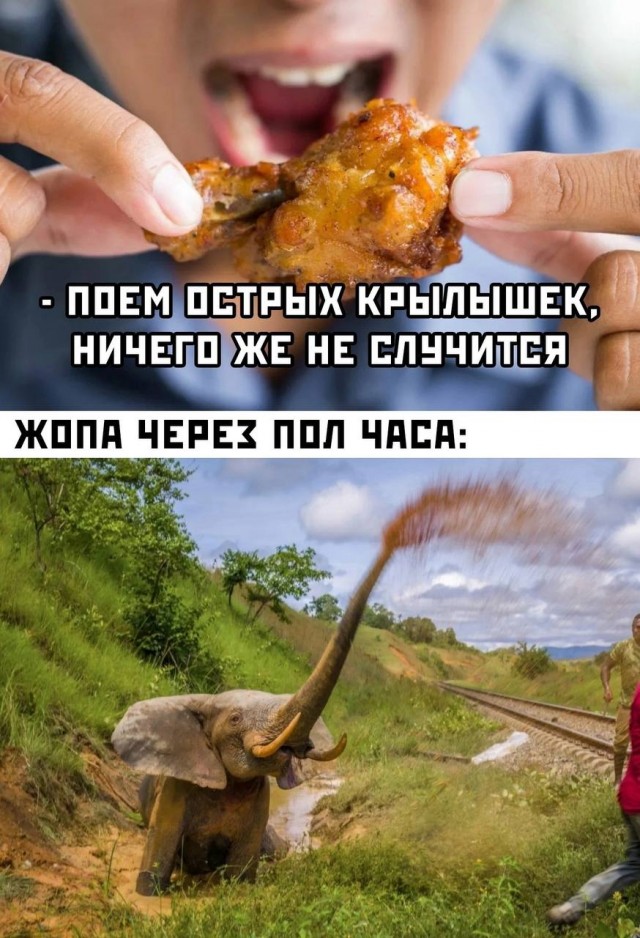 Картинки для деградации 73 (разной степени свежести)