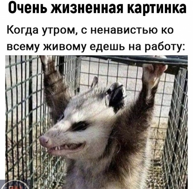 А понедельник то ненастоящий...
