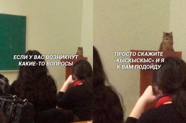 Веселые картинки в маленькую пятницу (19.11)