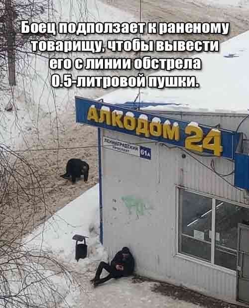 Боевые сводки