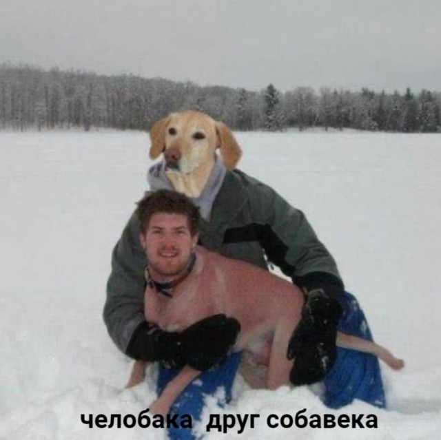 Расжижение мозга на ароматной поляне ополаскивателей для рта