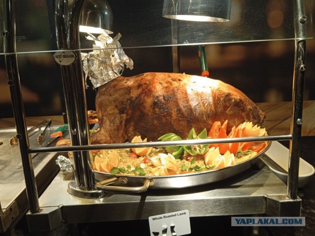 Туристы из России, застрявшие на Ближнем Востоке