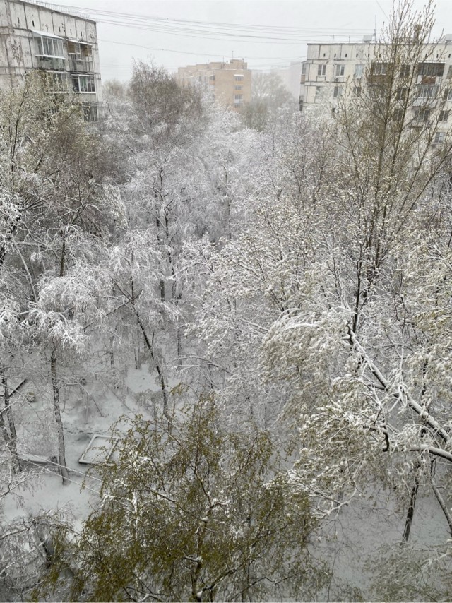 Утро в Москве
