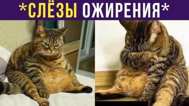 Картиночки, баянчики 25 июня