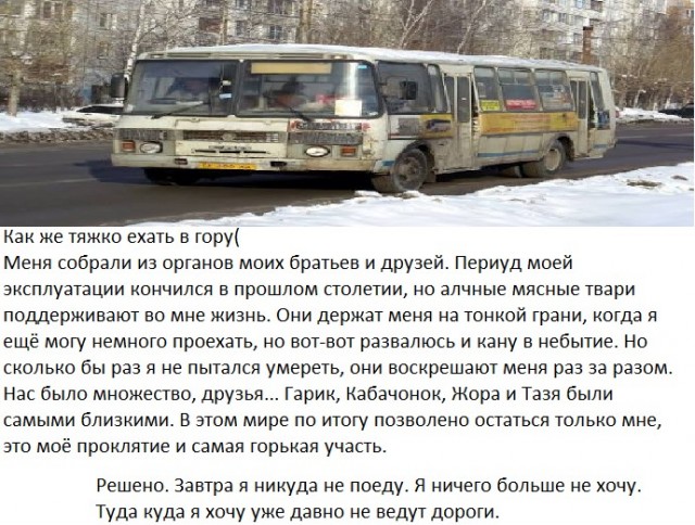 Так себе картинки 18.07.26