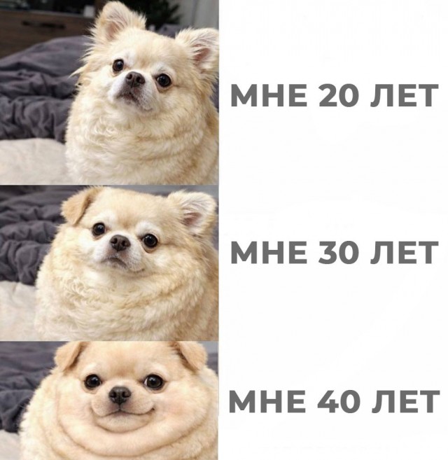 Мемы 30 штук к понедельнику
