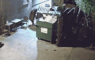 Ох, ниху..Короче, один не съем..Братюням подгоню..