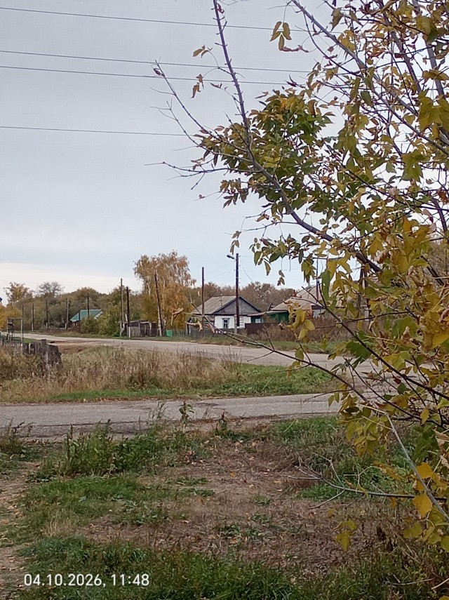 Все краски осени