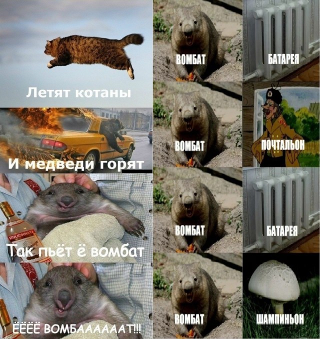 Картинки для деградации 293 (разной степени свежести)