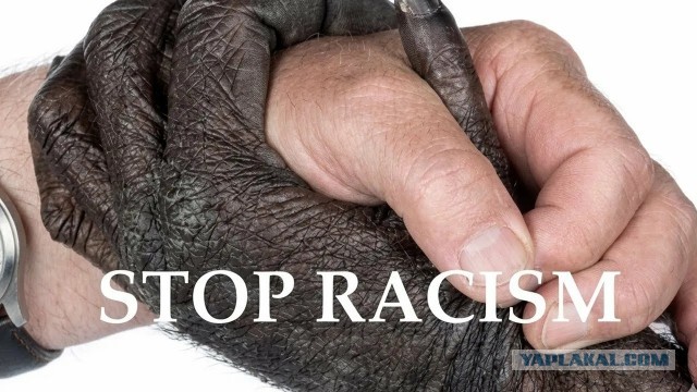 В сети представили корзину для белья с удобной сегрегацией белой и цветной одежды