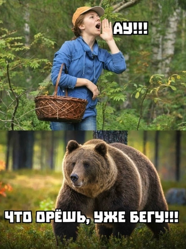 Картинки на среду