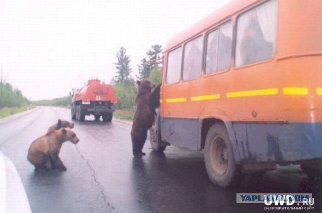 Все в порядке