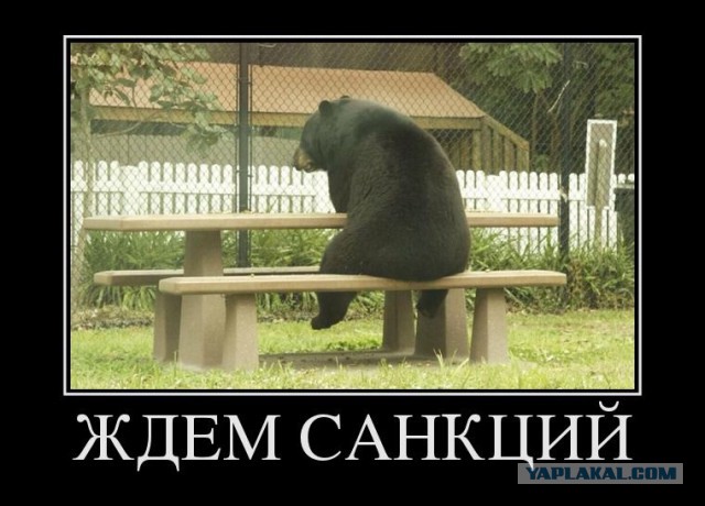 Убит "Сашко Бiлий" (Александр Музычко)